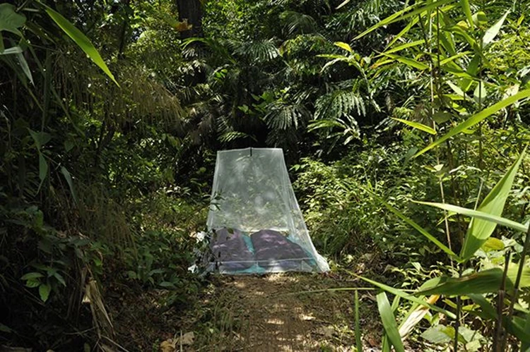 Cocoon Outdoor Musquitonet Double Klamboe - Afbeelding 2